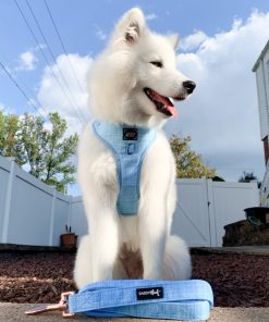 Blumond' Dog Fabric Leash 15 » Pets Impress