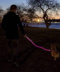 LED Dog Leash 19 » Pets Impress