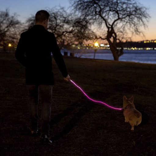 LED Dog Leash 5 » Pets Impress