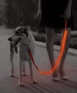 LED Dog Leash 17 » Pets Impress