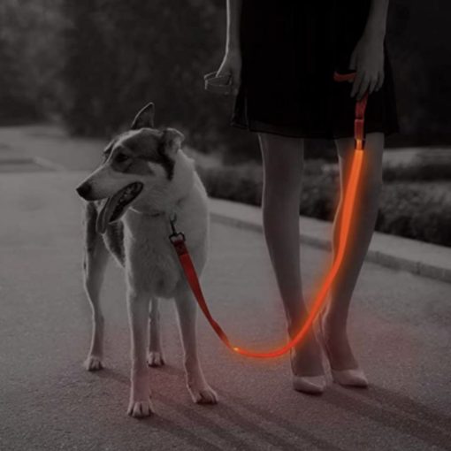 LED Dog Leash 3 » Pets Impress