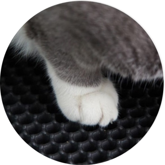 Leakage-Proof Cat Litter Mat 28 » Pets Impress
