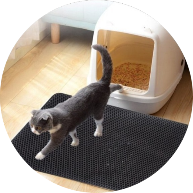 Leakage-Proof Cat Litter Mat 27 » Pets Impress