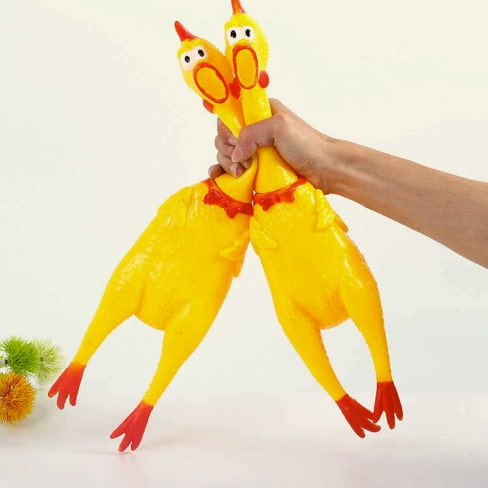 Hot Sell Screaming Chicken 30 » Pets Impress