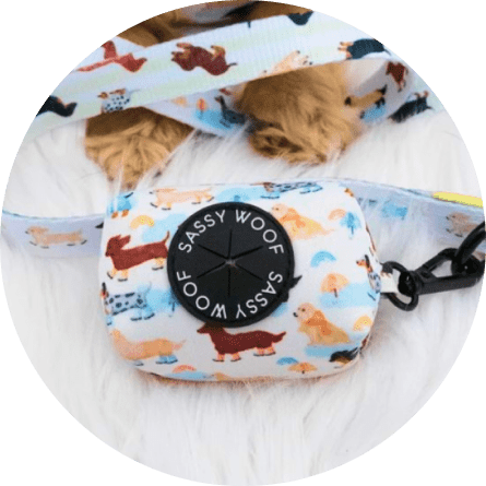 Rainy Dachshund' Dog Waste Bag Holder 20 » Pets Impress