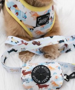 Rainy Dachshund' Dog Fabric Leash 17 » Pets Impress
