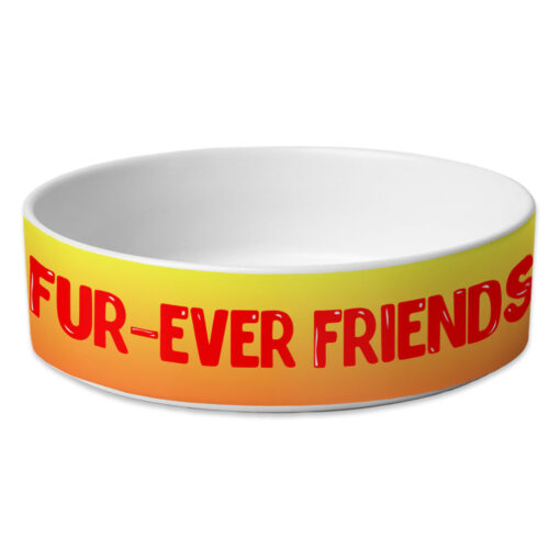 Cute Kawaii Pet Bowl - Trendy Dog Bowl - Printed Pet Food Bowl 1 » Pets Impress