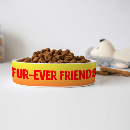 Cute Kawaii Pet Bowl - Trendy Dog Bowl - Printed Pet Food Bowl 7 » Pets Impress