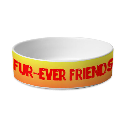 Cute Kawaii Pet Bowl - Trendy Dog Bowl - Printed Pet Food Bowl 3 » Pets Impress