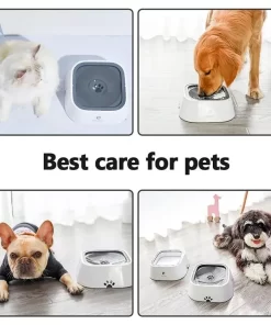 Spill-Proof & Non-Wetting 1.5L Pet Water Bowl 19 » Pets Impress