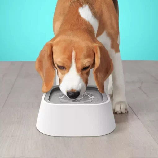 Spill-Proof & Non-Wetting 1.5L Pet Water Bowl 1 » Pets Impress