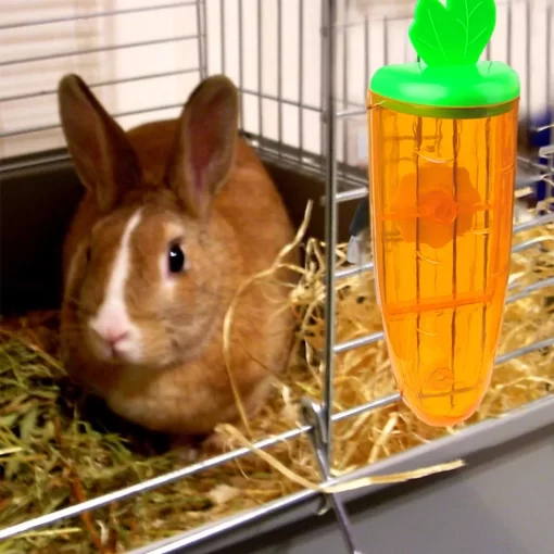 Adorable Carrot-Shaped 500ml Pet Water Dispenser 11 » Pets Impress