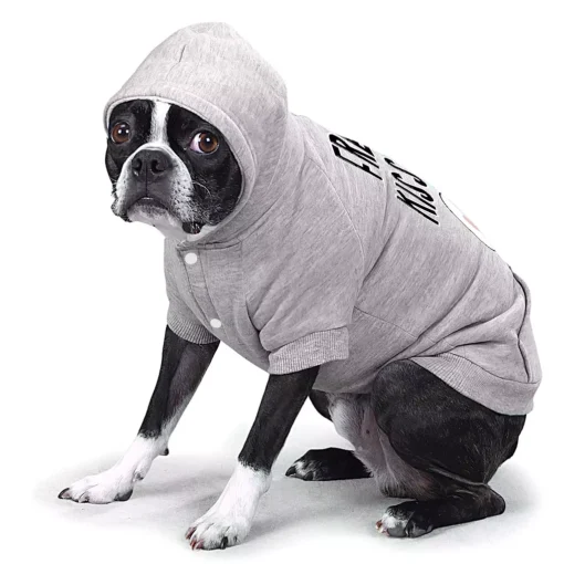 Free Kisses Dog Hoodie with Pocket - Word Print Dog Coat - Minimalist Dog Clothing 9 » Pets Impress