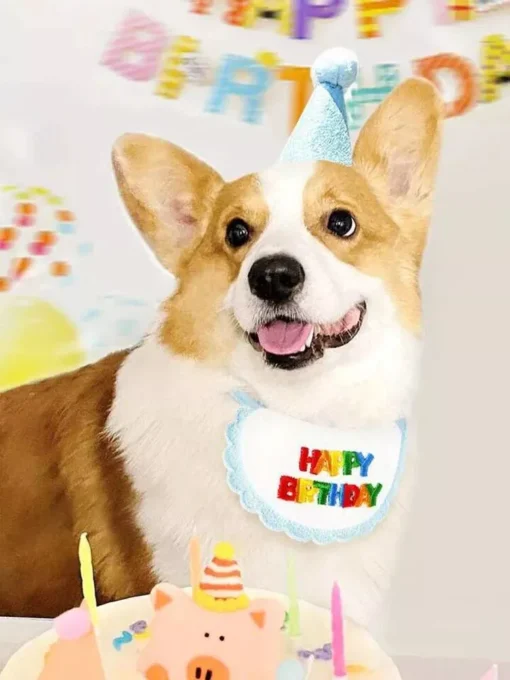 Colorful Pet Birthday Bandana & Party Hat Set for Cats and Dogs 9 » Pets Impress