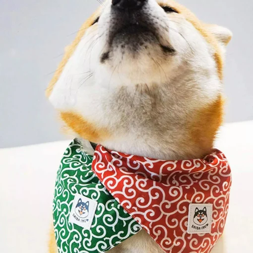 Chic Pet Bandana Collar 9 » Pets Impress