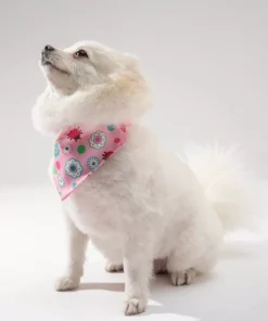 Chic Pet Bandanas 23 » Pets Impress