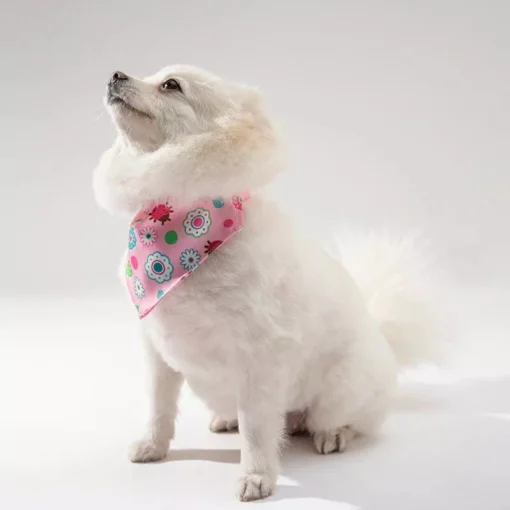 Chic Pet Bandanas 11 » Pets Impress